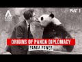 How pandas became chinas best ambassadors  panda power  part 12  cna documentary