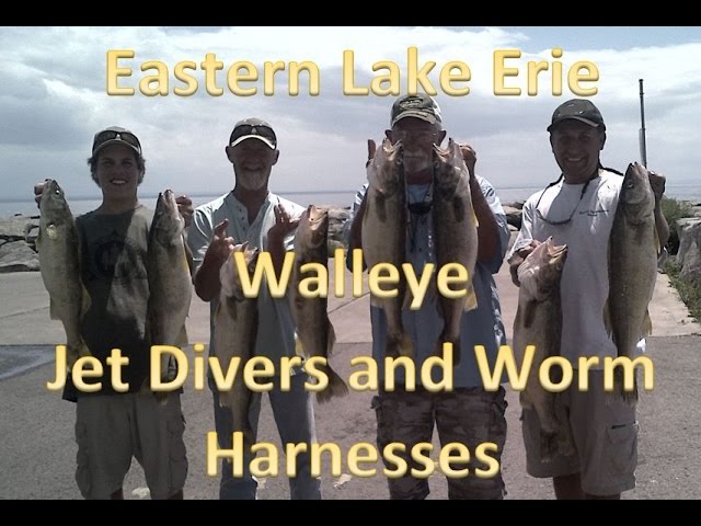 Jet divers for walleye Clearance