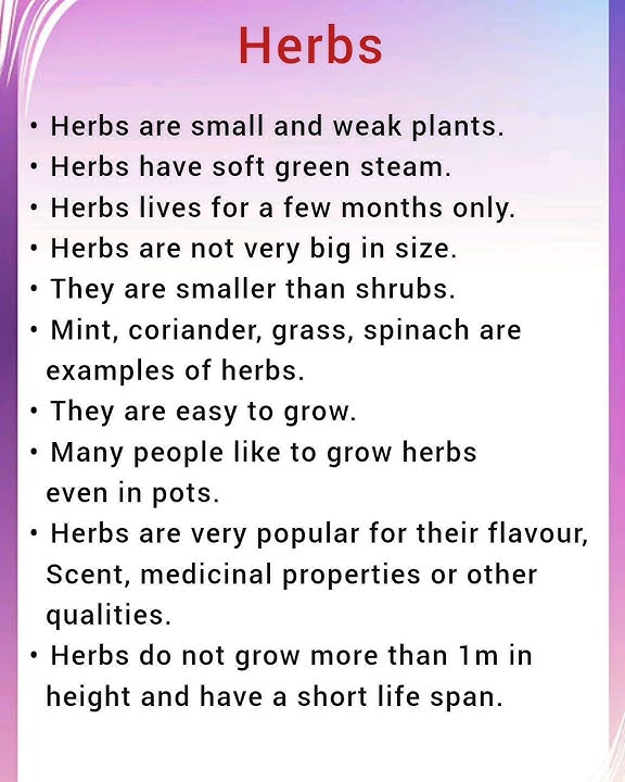 #herbs#types of plants#essay on herbs