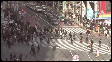 Special Providence - K2  (MUSIC VIDEO)