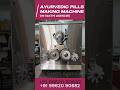multifunction Ayurvedic pills making machine #pharmaceutical#machinery #smallindustries #industrial
