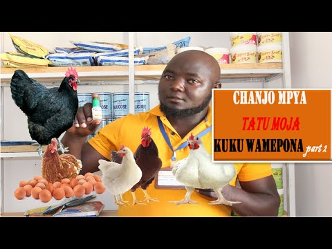 Video: Mfumo Wa AluWALL 