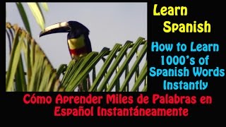 Learn Spanish-How to Learn 1000's of Spanish Words instantly Series
