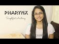 PHARYNX | ANATOMY | SIMPLIFIED