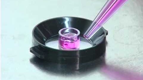 Bioptechs Culture Cylinders