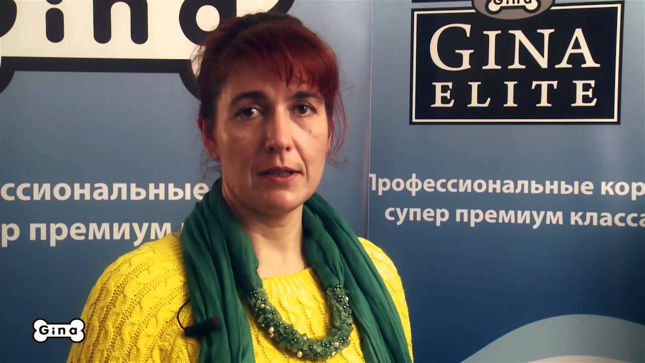 Корма холистик Gina для собак и кошек