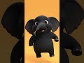 Trunky’s Big Adventure #elephant #shortvideo #viral #viralvideo #shorts