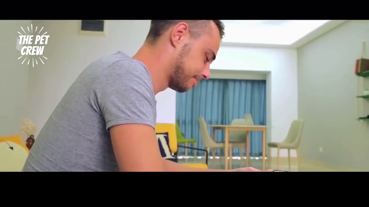 SMARTBONE  - O primeiro osso inteligente para cães