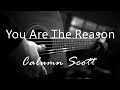 You are the reason  calum scott  acoustic karaoke 