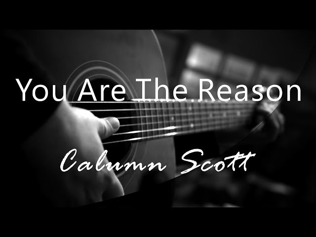 You Are The Reason - Calum Scott ( Acoustic Karaoke ) class=