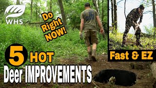 Top 5 High Impact Deer Habitat Improvements