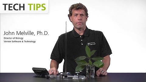 Investigate Transpiration with the Gas Pressure Sensor — Tech Tips