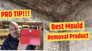 What's in my Survey Kit 01: The Best Black Mould Removal Treatment/Product?
