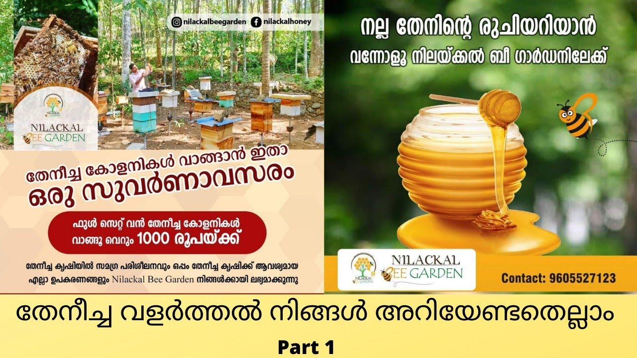 തേനീച്ച വളർത്തൽ ഇനി വളരെ സിമ്പിൾ|Theneecha valarthal Malayalam|Honey bee farming Malayalam