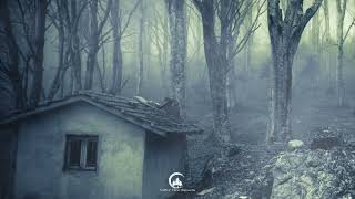 Thorsten A - Pictures Of The Past
