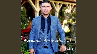 Video thumbnail of "Fernando din Barbulesti - Tu San Devla mai Baro"