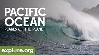Pacific Ocean | Pearls of the Planet