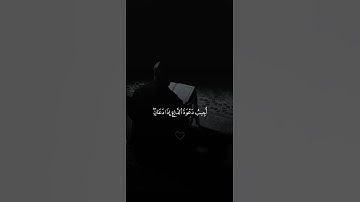 اكتب شيء تؤجر عليه 😴🩶 | قران كريم | فارس عباد