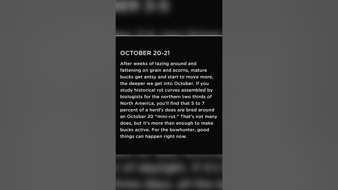 The Best Days To Deer Hunt YouTube the-best-days-to-deer-hunt-youtube