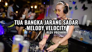 Tua bangka jarang pulang  melody velocity  aldy pagihari remix 2025