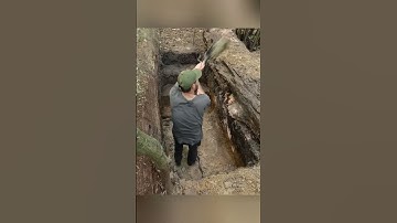 A shelter that can be quickly hidden!#build #us