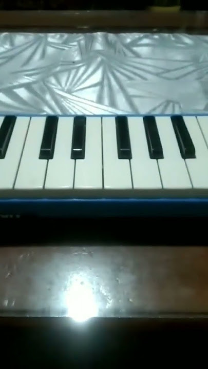 not pianika basuri dav musical horn suka joget di pinggir jalan...