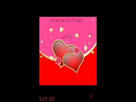 وادي الذئاب الجزء 10 الحلقة 25 26 في الوصف