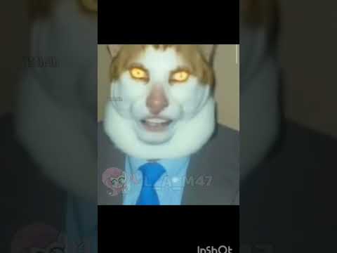 انتي جميله جدا لا بل انتي شيطانه لعينه