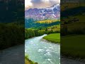 Nature videos