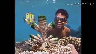 Download lagu Iklan jadul pentingnya terumbu karang