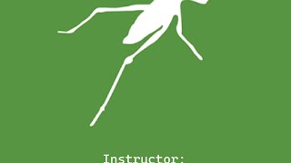 DigitalFUTURES - Nature, Computational design and Grasshopper in seven days - session2