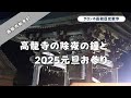 高龍寺の除夜の鐘と元旦お参り 2025 元旦 高龍寺の除夜の鐘と元旦お参り 2025 元旦