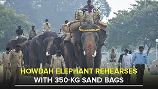Howdah Elephant Abhimanyu Rehearses With 350-Kg Sand Bags Mysuru Dasara 2020