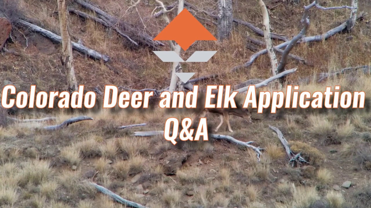 Colorado Deer And Elk Application Strategy Q A YouTube Colorado Deer And Elk Application Strategy Q A YouTube