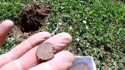 XP Deus looking for good targets in the trash, part 2 of 2