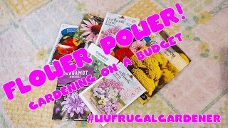 Why your vegetable garden needs flowers