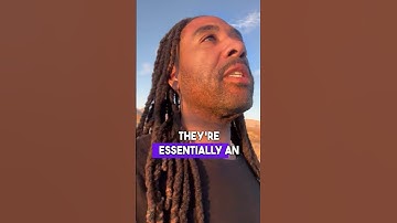 Understanding Fiscal Sponsorship