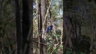 Cutting in a new trail