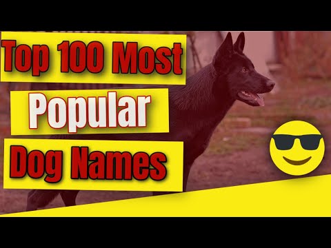 Video: 101 Nama Anak Anjing