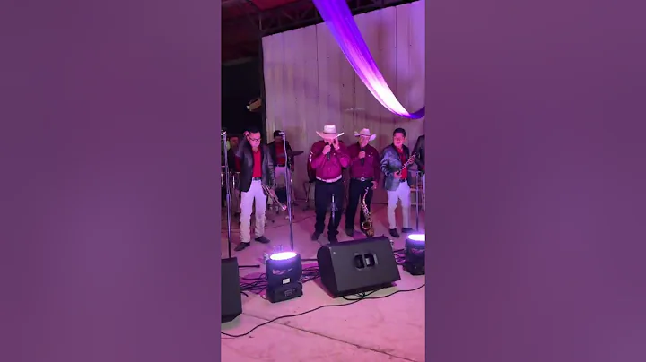Se les pelo Baltazar