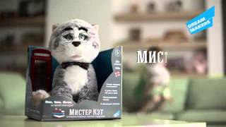 Интерактивная игрушка Dream Makers Мистер Кэт (MRC01\M) видео | онлайн-гипермаркет 21 vek Интерактивная игрушка Dream Makers Мистер Кэт (MRC01\M) видео | онлайн-гипермаркет 21 vek