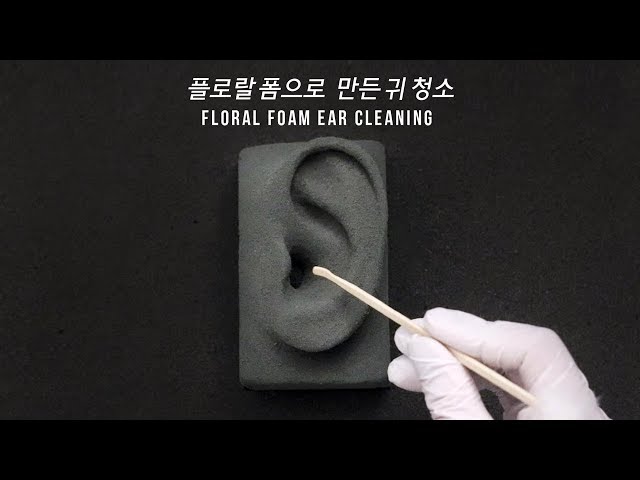 ASMR 플로랄 폼으로 만든 귀 청소 Floral foam ear cleaning