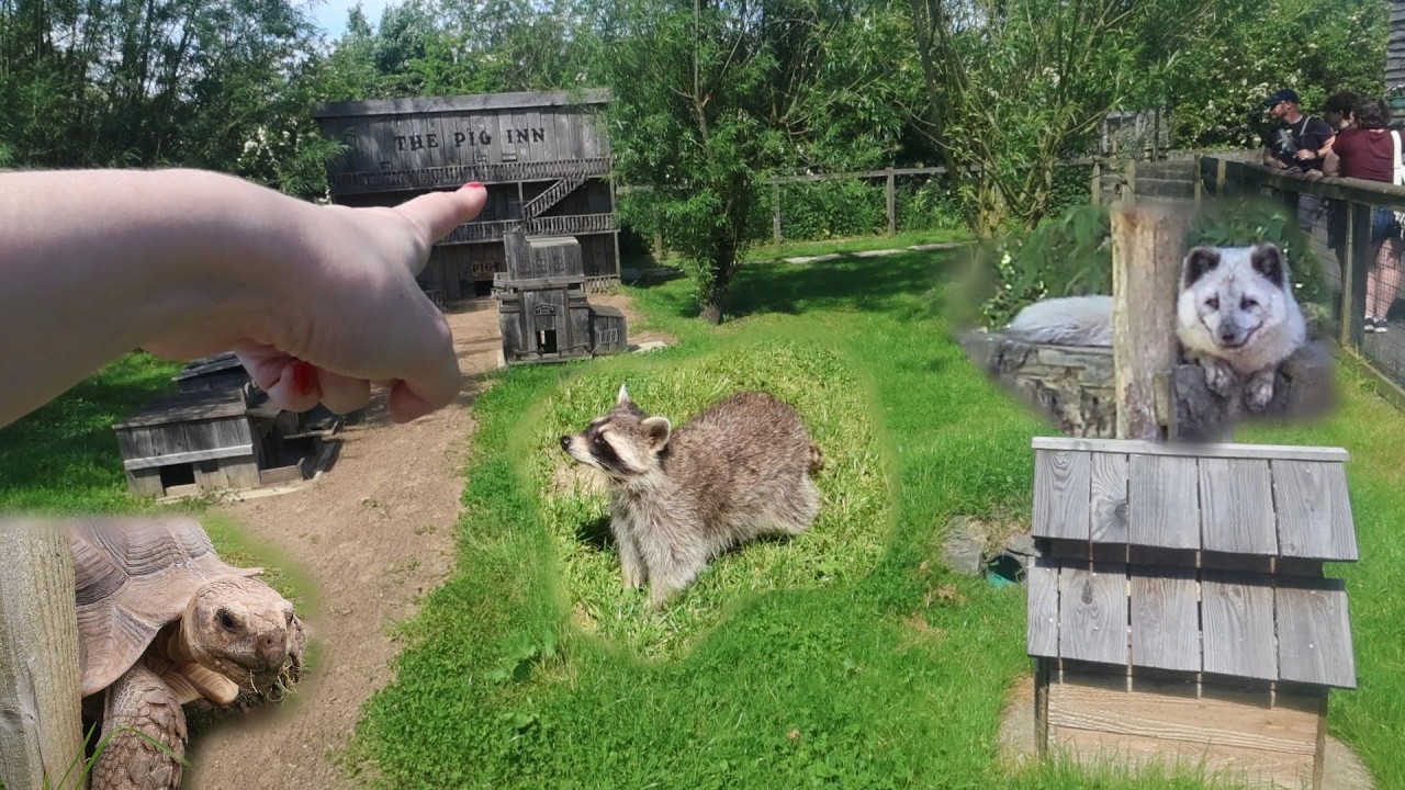 ASMR at the Zoo (whispered voiceover)