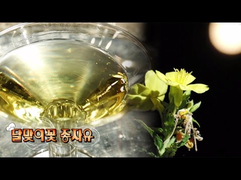 내 몸속 방패 만들어주는 ‘달맞이꽃’ (수요일N스타일) @좋은아침 4944회 20161019