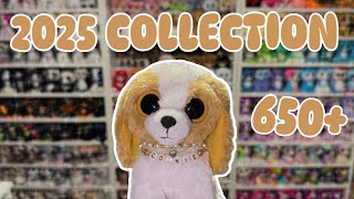 2025 BEANIE BOO COLLECTION || FULL COLLECTION 650+ BEANIE BOOS