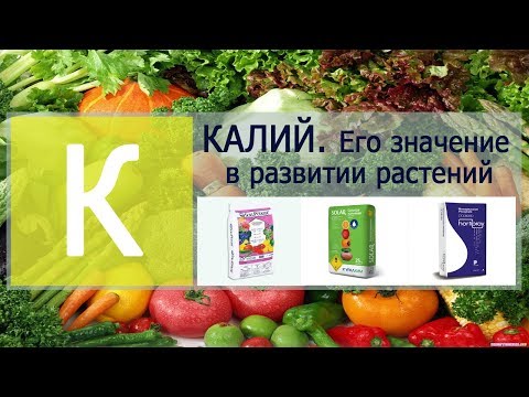 Видео: Какая цена на калий за тонну?