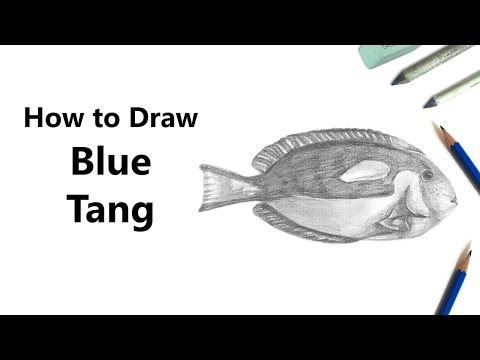 Come disegnare un Tang blu con matite [Time lapse]