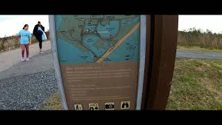Wildlife Loop Trail - Chincoteague National Wildlife Refuge - Virginia