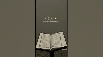 #تلاوة نادرة #خشووووع رهيب #القارئ حمادة جودة هلال
