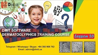 Dermatoglyphics training course | Lesson 26: Summary | Dmit software